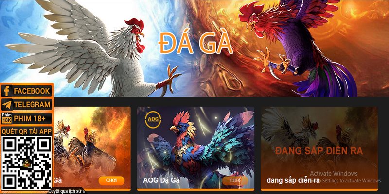 Đá gà 8KBET là sảnh lý tưởng dành cho những ai đam mê cá cược trực tuyến