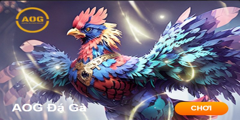 Đá gà AOG là sảnh cá cược độc quyền tại 8KBET, mang đến trải nghiệm giải trí đỉnh cao